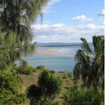 A view of a conservation easement